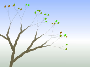 A Tree for all Seasons Screensaver software